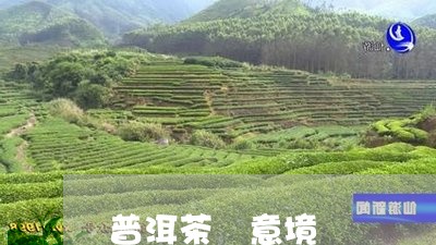 普洱茶 意境/2023042871915